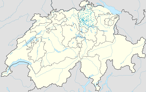 Zürich kartta tunnisteilla jokaiselle kannattajalle