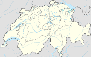 Sankt Gallen kartta tunnisteilla jokaiselle kannattajalle