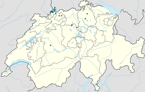 Mapa města Riehen se značkami pro každého podporovatele 
